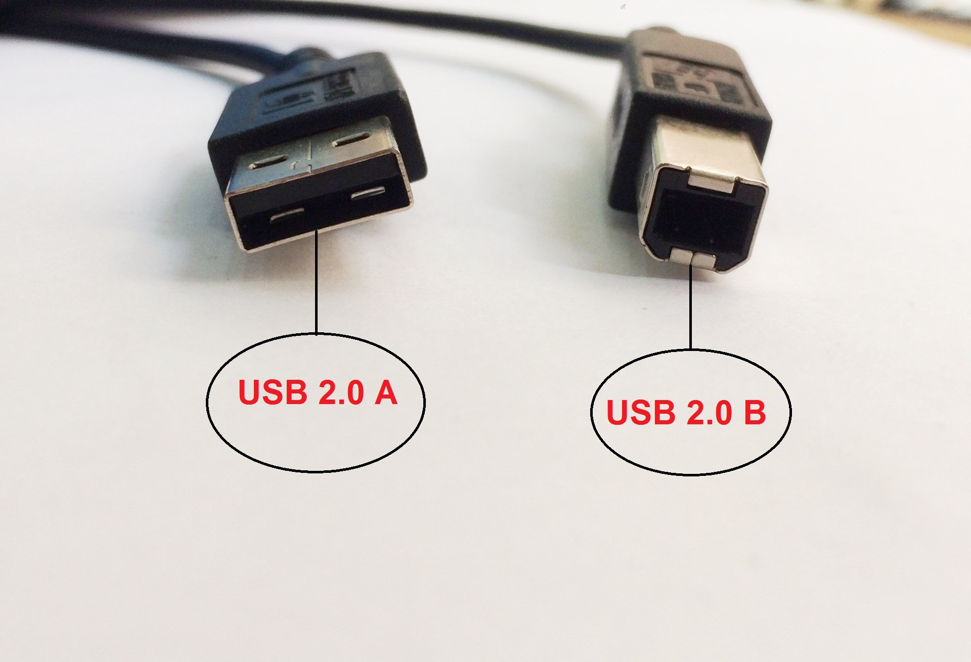 Dây Cáp USB Chính Hãng HP Original 8121-0868 USB 2.0 A to B  (Printer/ Scanner) - Black